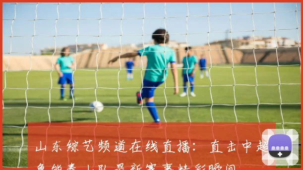 山东综艺频道在线直播：直击中超鲁能泰山队最新赛事精彩瞬间