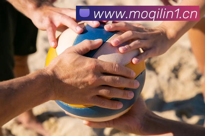 多媒体互动体验