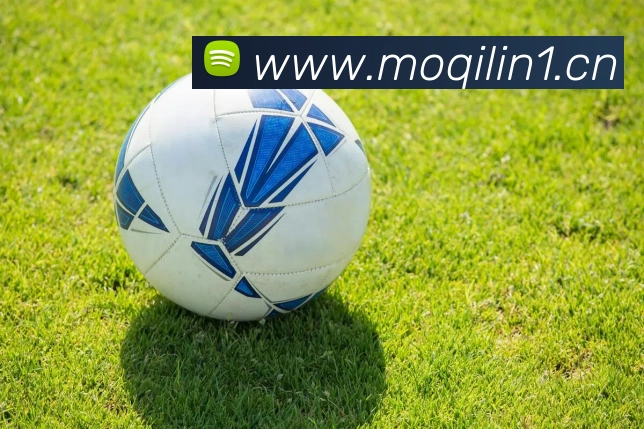 开云在线官网登录APP 高清赛事图